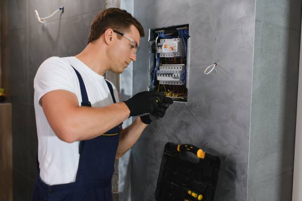 Best Electric Panel Repair  in Birdsboro, PA